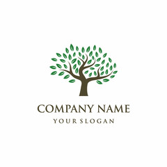 Obraz premium Tree logo design vector isolated, abstract tree logo design illustration