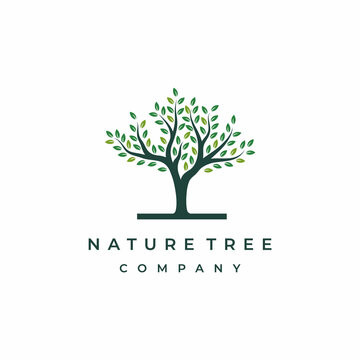 Tree logo design vector isolated, abstract tree logo design illustration