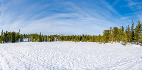 Winter landscape in snow covered Bymarka nature reserve in Trondheim, Norway