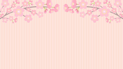 Fototapeta na wymiar 桜の花で飾ったピンク色ストライプのバナー - 春・お祝いの背景素材 