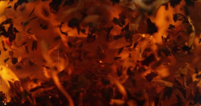 Close-up of brewing of black tea. Macro shot of tea leaves floating in boiling water in transparent glass tea pot. Slow motion