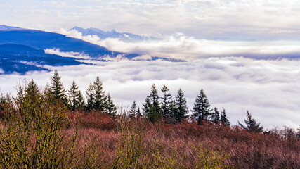 Cloud inversion over BC valley with mountain backdrop.