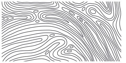 Artistic vector modern illustration with gray lines hand drawn abstracts on white background