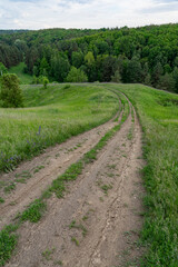 Fototapeta na wymiar Dirt road runs through rugged countryside