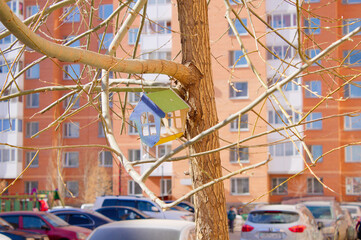 birdhouse on a tree