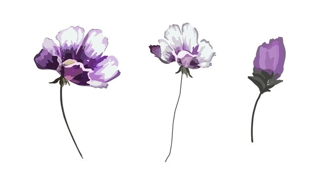 Flowers elements. Flowers isolated on white background. Violet. Vector illustration