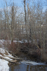 Pylypow Wetlands on the Last Day of Winter