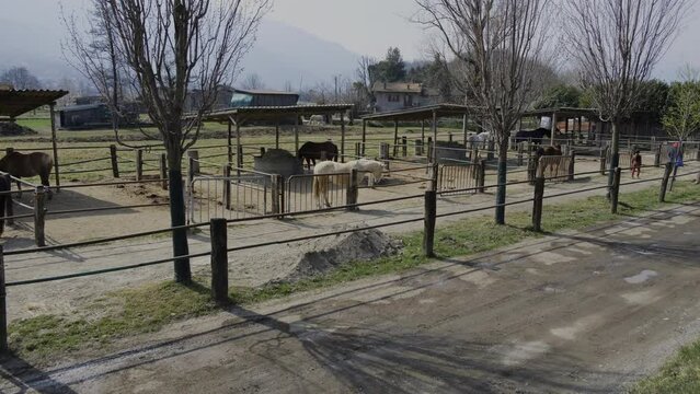 A ranch in a valley with several horses in their paddock