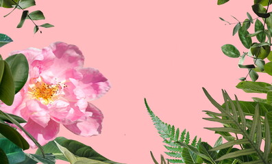  flowers and green leaves on pink background template copy space summer