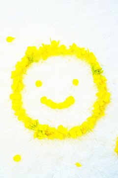 スマイルマーク Images Browse 219 Stock Photos Vectors And Video Adobe Stock