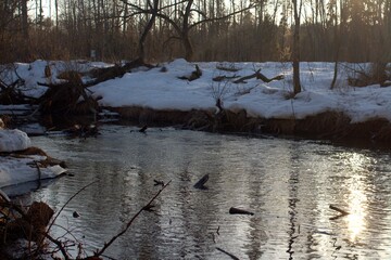 river in the forest. sunset