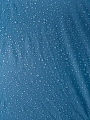 Naklejka na ściany i meble Water drops on waterproof membrane fabric. Morning dew on tent.