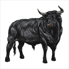 Bull vintage hand-drawn sketch vector illustration  