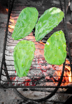 Green cacti grilling on barbecue grid over fire