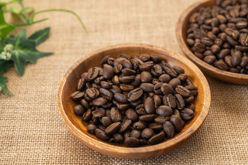 シグリ　珈琲豆