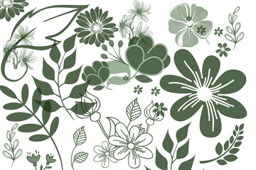 Verschiedene florale, grüne Muster auf weißem Hintergrund 