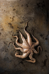 Fresh octopus on a stone board. On a black background. High quality photo