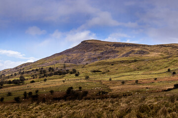 The International Appalachian Trail, North Sperrin Way section/Ulster Way, Dungiven to Castlerock hiking trail. County Londonderry, Causeway coast and Glens, Northern Ireland