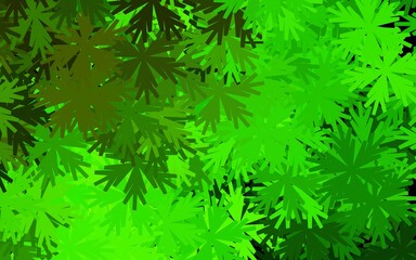 Dark Green, Yellow vector natural backdrop with flowers.