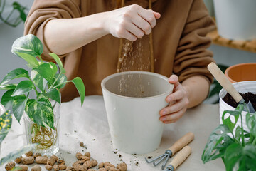 Female hands of gardener filling a flowerpot with mica vermiculite for soil aeration or drainage. Potting a houseplant. Home or indoor gardening.