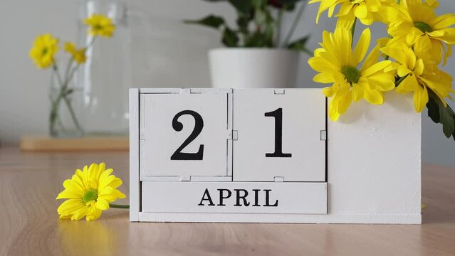Spring month April 21. A woman's hand turns over a cubic calendar. White perpetual calendar on the table next to yellow flowers. Change the date in a month. day in the month. number