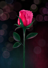 Red Rose on dark background