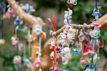 Pacifiers are hanging on the tree.