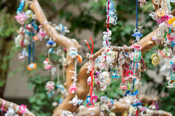 Pacifiers are hanging on the tree.