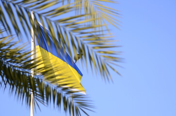Naklejka premium Flag of Ukraine on the background of a palm branch. The Blue and Yellow Flag of Liberty and the Palm Branch of Victory
