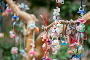 Pacifiers are hanging on the tree.