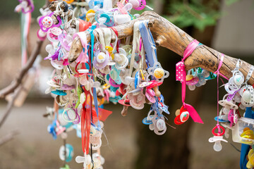 Pacifiers are hanging on the tree.