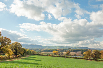 Fototapeta na wymiar Autumn colours in the Malvern hills of England.