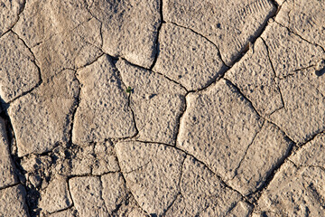 
cracked ground texture
