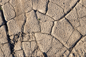 
cracked ground texture