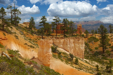 Schluchten im Bryce Canyon