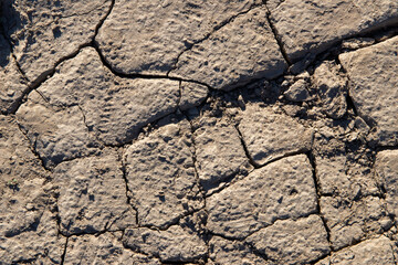 
cracked ground texture