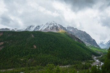 Dark atmospheric landscape with forest snow mountain in low clouds. Gloomy overcast scenery with...