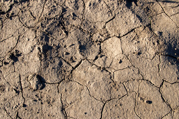 
cracked ground texture