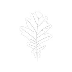 Oak leaf icon in black and white on a white background.