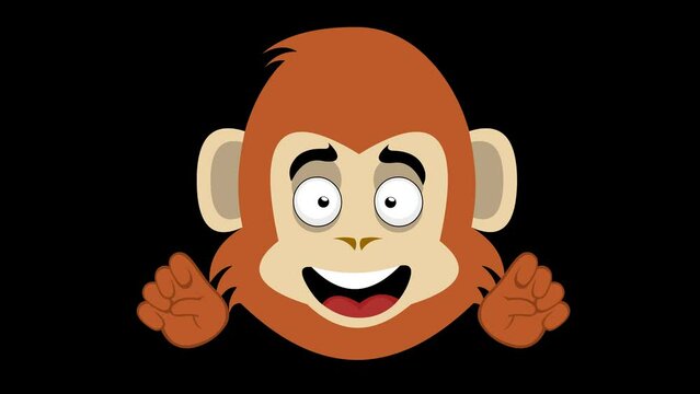 Loop animation of the face of a cartoon monkey making the classic love and peace or v victory gesture with his hands with his tongue out. With a transparent background