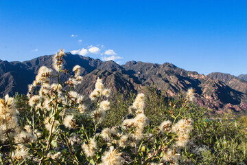 mountains of Mendoza, Argentina