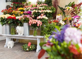 Fototapeta na wymiar beautiful bright interior of a flower shop in Ukraine with bouquets collected by professional florists