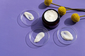 Fototapeta na wymiar Petri dishes with white cream smears and cream in dark glass jar on violet background with yellow flowers of craspedia.