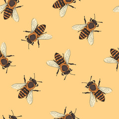 Seamless bee ornament pattern backgrounds. Wallpaper template design. Hand drawn vector illustration.