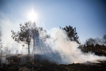 Feldbrand und Waldbrand nach langer Trockenheit