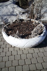 round white flowerbed outdoors in winter
