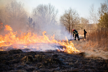 Feldbrand und Waldbrand nach langer Trockenheit