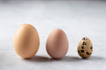 Chicken egg, guinea fowl egg and quail egg in a row on gray background.