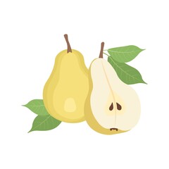 Yellow pears on a white background. Vector illustration