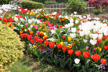 The arrangement of flowers